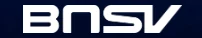 BNSV logo