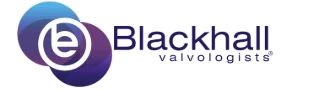 Blackhall Engineering logo