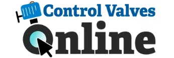 Bonomi Valve logo
