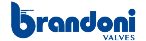 BRANDONI SPA logo
