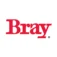 Bray Egypt logo