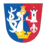 Chotyne logo