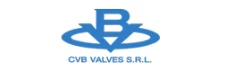CVB Valves logo
