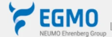 EGMO Ltd. logo