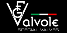FG Valvole logo