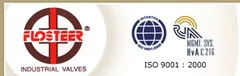 Flosteer Engineers logo