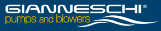 Gianneschi Pumps logo