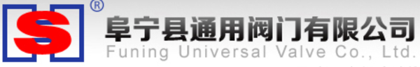 Hs Valve Co., Ltd. logo