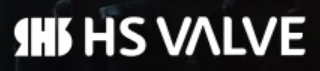HS Valve Co., Ltd. logo