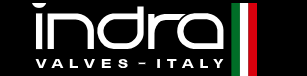 INDRA SRL logo