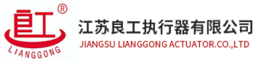 Lianggong Actuator logo