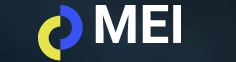 MEI VALVOLE INDUSTRIALI SRL logo