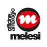MELESI OFFICINE AMBROGIO SRL logo