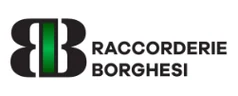 RACCORDERIE BORGHESI BORTOLO SRL logo