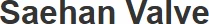 Saehan Valve Co., Ltd. logo
