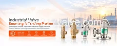 Taiwan 317 Valve Co. logo