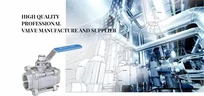 Target Valve logo
