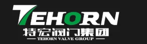 Tehong Valve Group logo