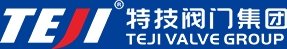 Tejifamen Valve Co., Ltd. logo