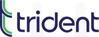 Trident Valves logo