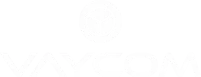 Vaycom logo