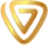 Vina Valve logo