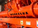 Waukesha Italy logo