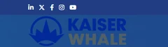 Whale Enterprise Pvt. Ltd. logo